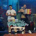 VINE A PEDIR PERDON