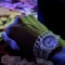 Otw 2 the Bank - BMG BirdGang lyrics