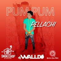 Pum Pum - Single - Pellachi
