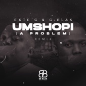 Umshopi (Remix) artwork