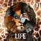 Life - Alessio Modrian, Samor Dj & Stephan Ho lyrics