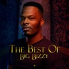 The Best of Big Bizzy