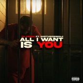 All I Want Is You (feat. NorthsideBenji) artwork
