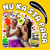 Nu Ka Sta Para (feat. MC Acondize) artwork