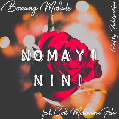 Nomayi Nini (feat. Colt MotswanaFela & TwoSly) - Single