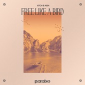 Free Like A Bird artwork