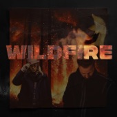 WILDFIRE (feat. Caspar Camitz) artwork