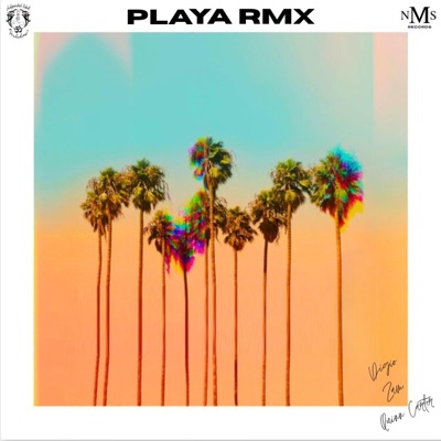 Playa (feat. Quinn Carter) [RMX] - Single