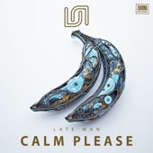 Calm Please (feat. The English Disco) artwork