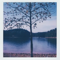 Rest Easy (feat. PoetiCS) - Single - CRFT