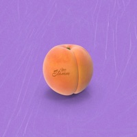 Jogando o Bundão - Single - MC Stamm