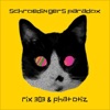 Schroedingers Paradox - Single