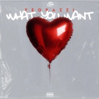 What You Want - Single - F$O PAZZI