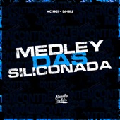 Medley das Siliconada artwork