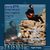 תהום (feat. מוטי ויזל) - Single - מענדל ראטה