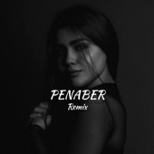 Penaber Remıx artwork