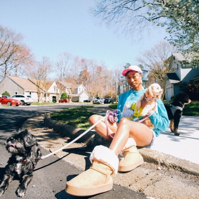 BIG BRINX TRUCK - Single