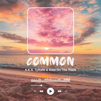 Common (feat. Kato On the Track) - Single - A.K.A. TyRaNt