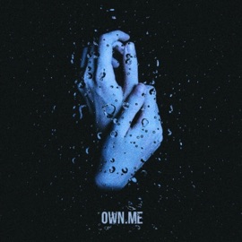 Own Me (feat. Telescope Thieves) [Hunty's Version] Hunty