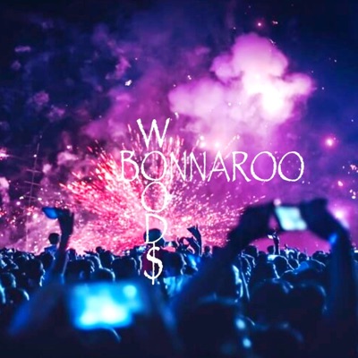 Bonnaroo - Single