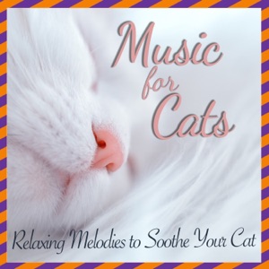 Music for Cats: Relaxing Melodies to Soothe Your Cat