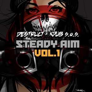 Steady Aim, Vol. 1