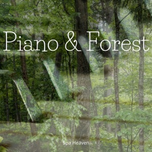 Piano & Forest
