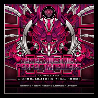 Perfect Questions and Perfect Answers