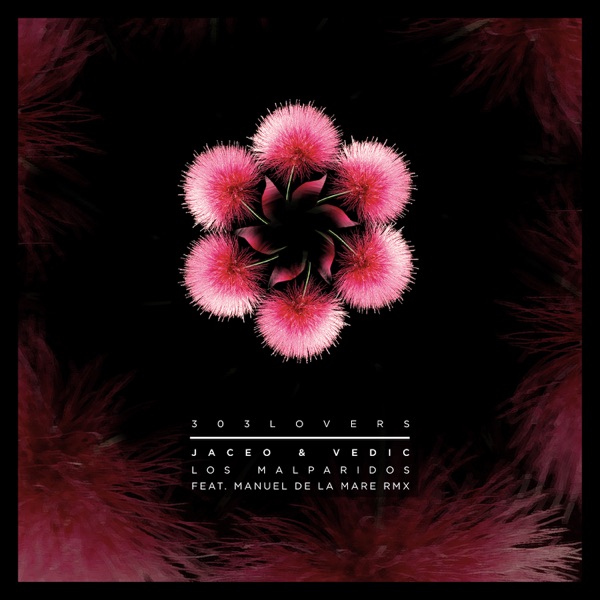 Los Malparidos - Single