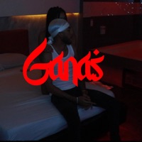 Ganas (feat. Ozzil & Jeyson) - Single - Elsamurai