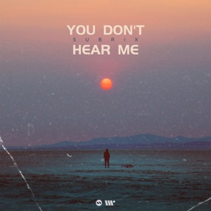 You Don't Hear Me - Single