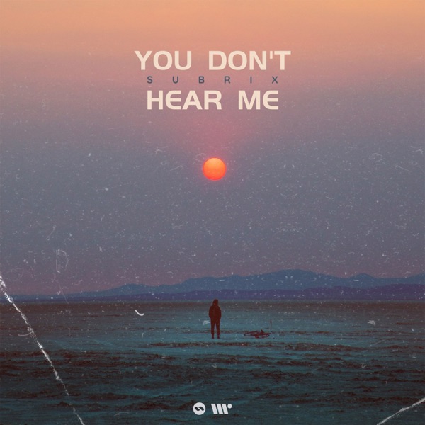 You Don't Hear Me - Single