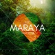 Maraya feat Cally Roda Single