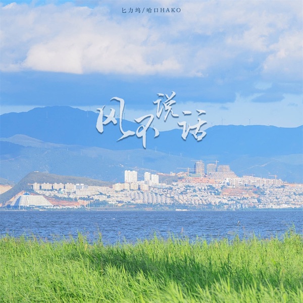 风不说话 - Single