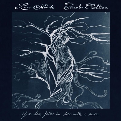 If a Tree Falls In Love With a River (feat. Jacob Collier) artwork