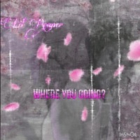 Where you goin (feat. Lil Reaper) - Single - Snow Weezy