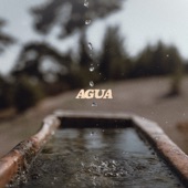 Agua artwork