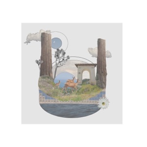Anything (feat. Scott Orr) - Single