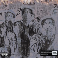 Burned Bridges - Single - Roakii