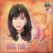 Cay Đắng Bờ Môi artwork