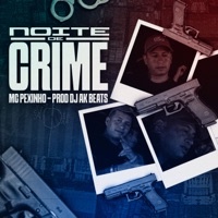 Noite de Crime - Single - Mc Pexinho & Dj AK Beats