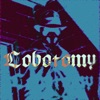 Lobotomy - Single