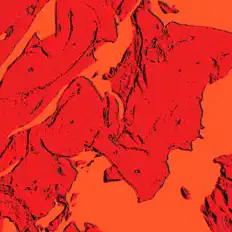 收听 乔纳森・施托克哈默、观看音乐视频、阅读小传、查看巡演日期等 ！