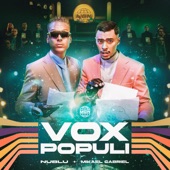 Vox Populi artwork