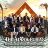 Te Aprovechas - Single