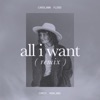 All I Want (Remix) - Single