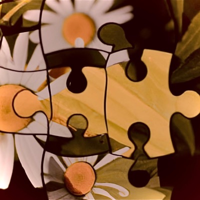 Life's Puzzle (Live Performance) - Single