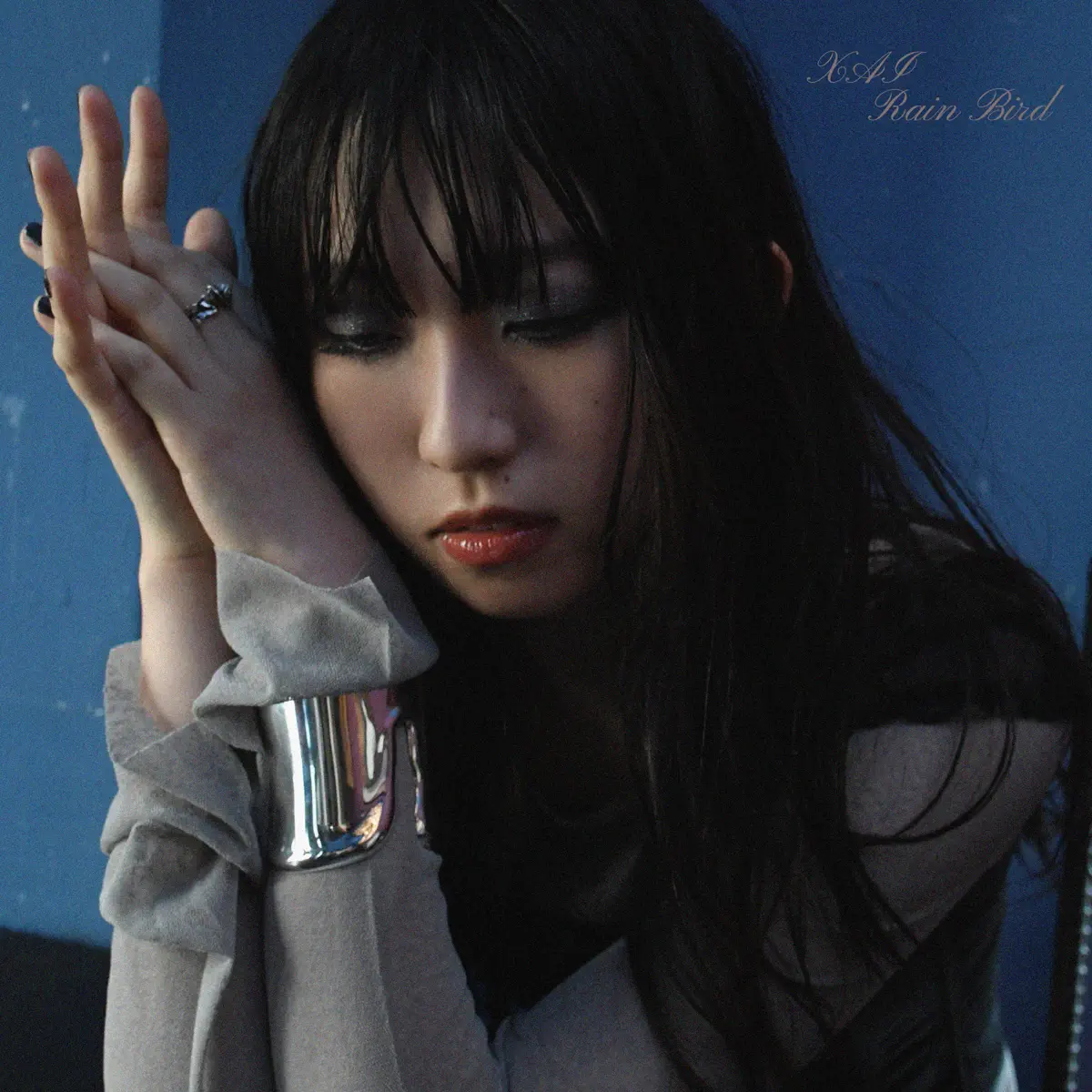 XAI - Rain Bird - Single (2024) [iTunes Plus AAC M4A]-新房子