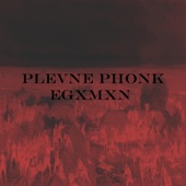 Plevne (PHONK REMIX) artwork
