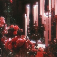 Absolution of Parallel Flames (feat. Alethiae) - Single - Phantom Roses